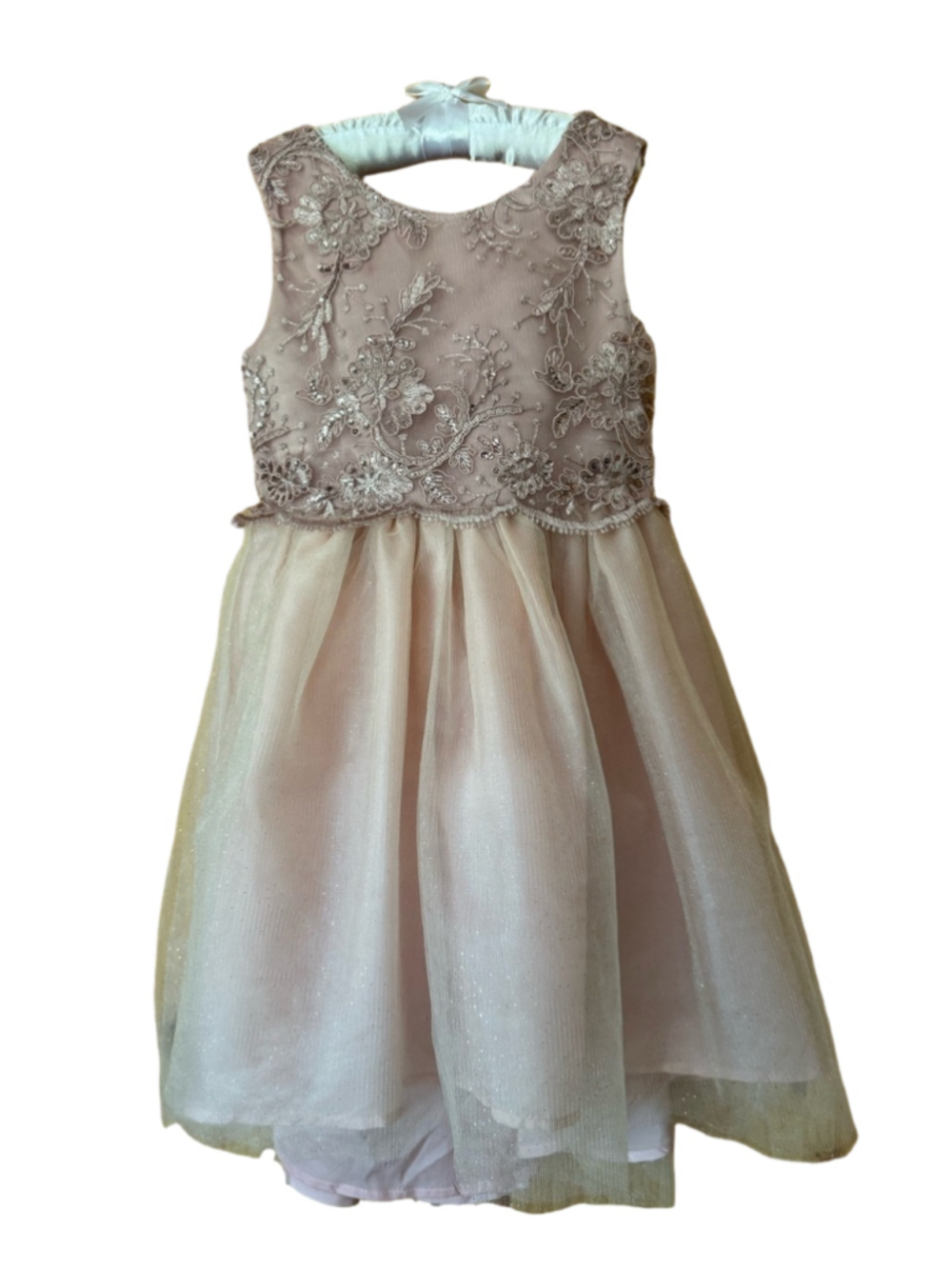 Biscotti Collezoini Embroidered Blush party dress size 6